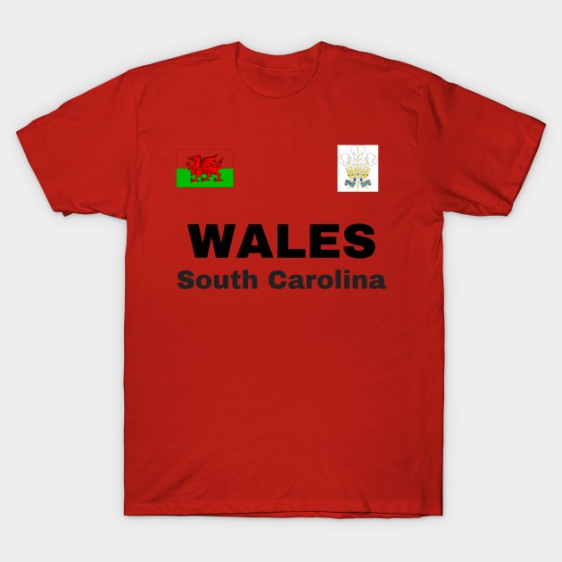 South Carolina Wales Ancestry T-Shirt by nickwalsh